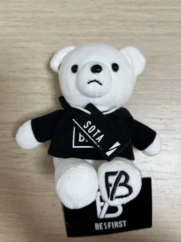 BE:FIRST SOTA 택 포함 곰 봉제 인형
