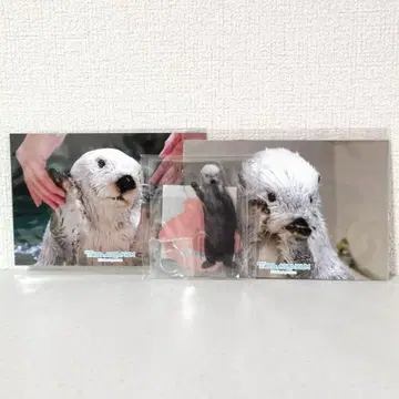 [캡슐 복권] 랏코의 메이쨩 복권 리턴즈! 메이 얌전