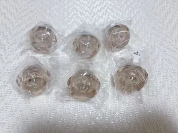 파라라이 린 라이 시온