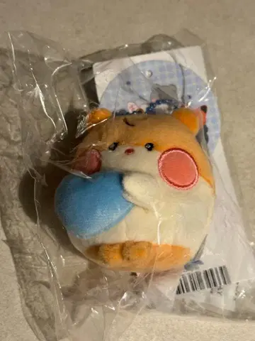 ZB1 제베원 zeroni 비니니 마그넷 키링 봉제 인형