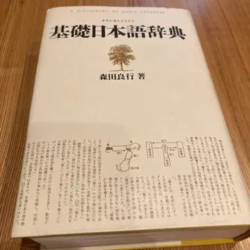 기초 일본어 사전 모리타 요시유키 저