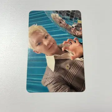 BSS TELEPARTY US 미국 한정판 트레이딩 카드 호시