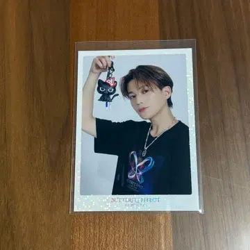 야기 유세이 포토 카드 시크릿