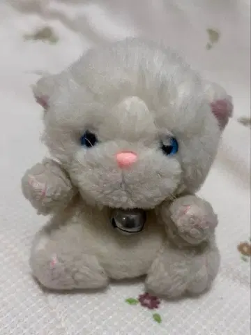 고양이 봉제 인형