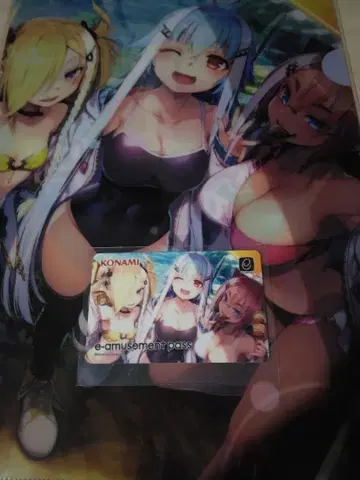 폴라리스 코드 이치카 클리어 파일과 e-amusement pass 세트