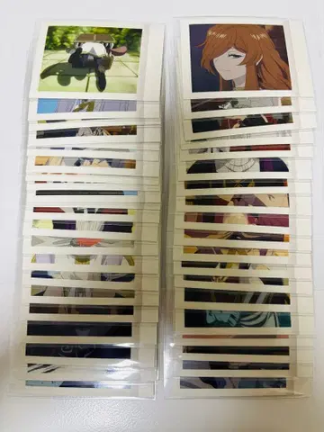 장송의 프리렌 파샤코레 세미 컴프 세트