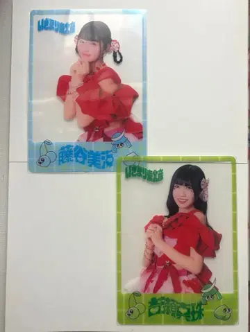 이기가리 도호쿠산 클리어 카드 요시세 진주 후지타니 미우미