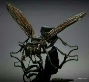 미개봉 새상품 생물대도감 어드밴스 말벌02 메가라라 가루다