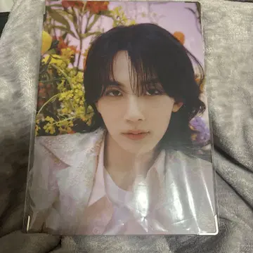 SEVENTEEN ALWAYS YOURS 프리미엄 사진 정한