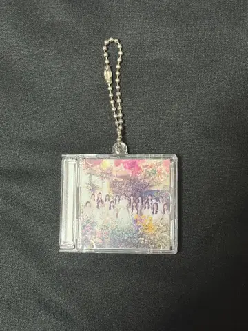 AKB48 재킷 사진 키링 역시 스테이크 컬러 렌즈 윙크