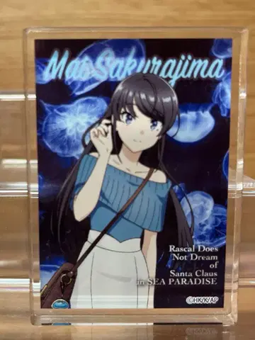 청춘 돼지는 사쿠라지마 마이 아크릴 블록