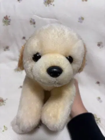 강아지 봉제 인형