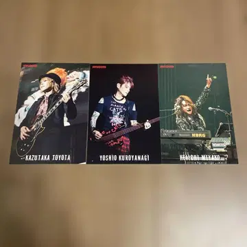 SIAMSOPHIA 조이 사운드 카드