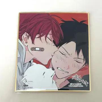 기븐전 ENCORE 리츠마후(마후유, 리카) 색지