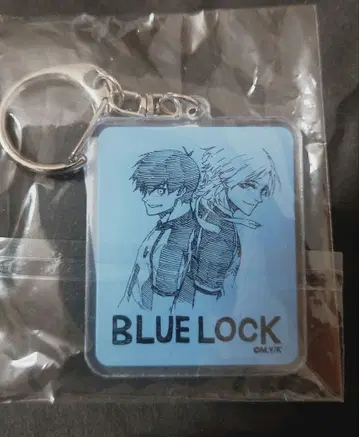 미국 코단샤 하우스 한정판 블루 록 아크릴 키링
