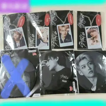 StrayKids BIG 캔뱃지 백참