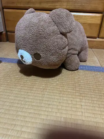 리락쿠마의 차이로이코구마