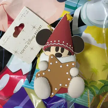 디즈니 크리스마스 2025 릴린린 백참 케이스 포함