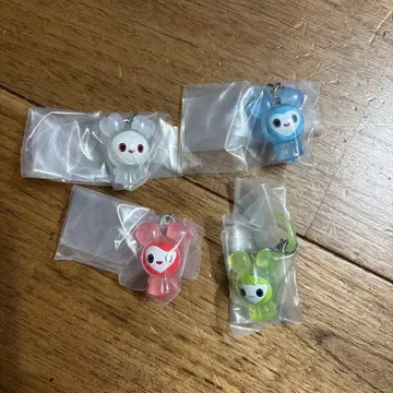 TWICE 메지루시 액세서리