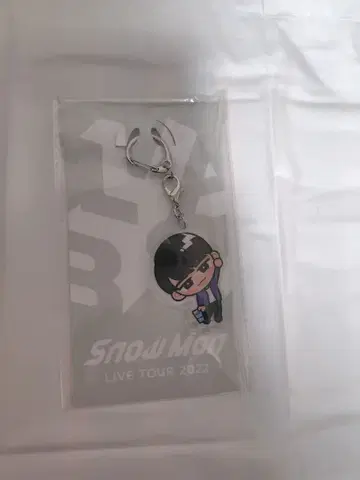 SnowMan 와타나베 쇼타 아크링 키링