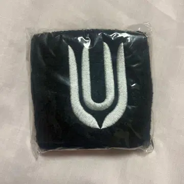 unison square garden 15주년 리스트 밴드