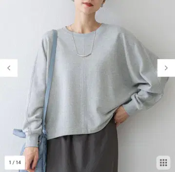 이번 시즌 [세탁 가능] 샤이니 코튼 테리 돌먼 맨투맨