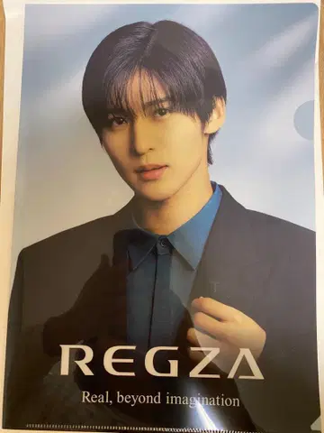 메구로 렌 REGZA 포트레이트 클리어 파일 5장 세트