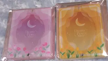 아크릴 프레임 드리미 플라워 오렌지 핑크