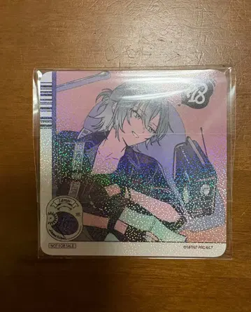 에이트리 마네키네코 코스터 나기