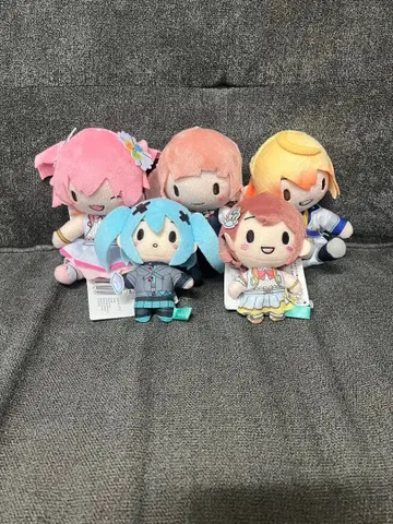 프로세카 후와푸치 5세트