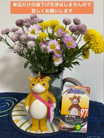 부스카 미니백을 하고 외출하다