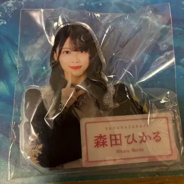 모리타 히카루 아크릴 배지