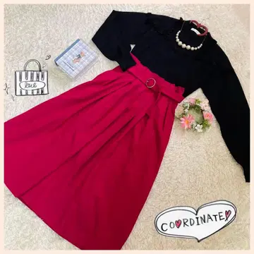 2점 세트 아쿠아걸 테치치 비스 더블 클로젯 계통