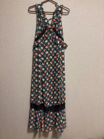 Lily Brown x ANNA SUI 바리에 패턴 원피스