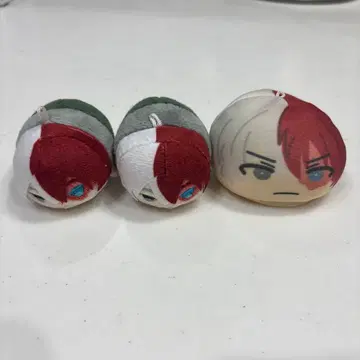 토도로키 쇼토 누이 세트