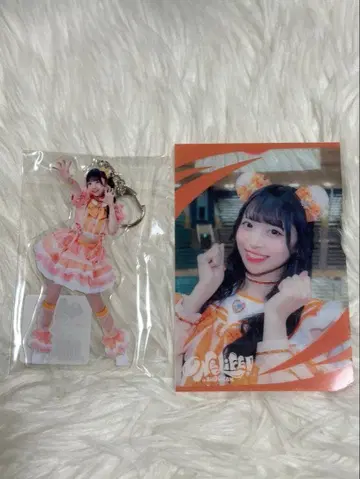 iLiFE!/4점 묶음 판매/작은 곰 마무