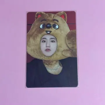 Straykids 한 Skzoo MAXIDENT