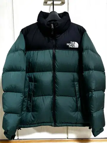 THE NORTH FACE 더 노스 페이스 다운 자켓 그린
