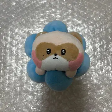 zb1 제로니 장하오 PLUSH BAND 팝업 하니니