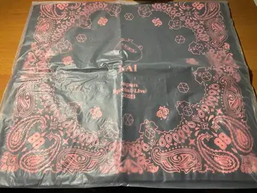 exo 카이 Japan special Live 2023 백