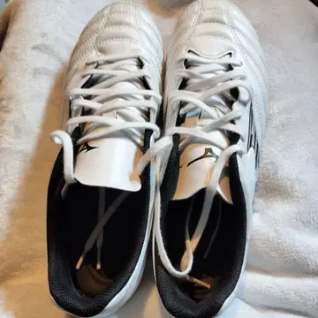 미즈노 모나르시다 네오 축구화