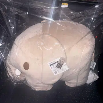 브루나 제일복권 A상