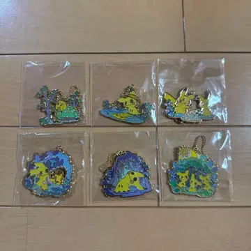 포켓몬 센터 메탈 참 컬렉션 미미큐야 컴플리트 세트