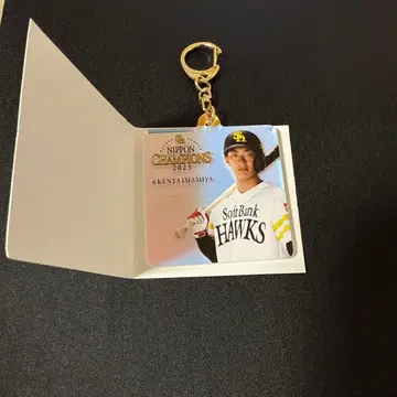 호크스 이마미야 키링