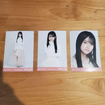 세토구치 신츠키 브로마이드 신참자