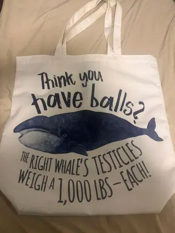 아이슬란드 토트백 고래