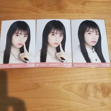 야타 모에카 브로마이드 신참자