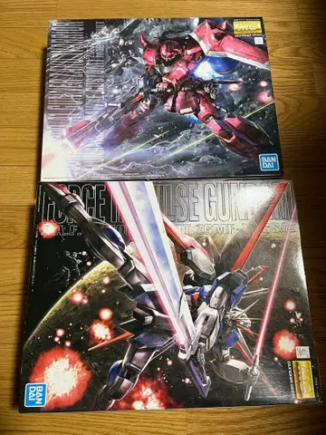 MG 1/100 포스 임펄스, 가나크 자쿠 워리어 초조립 정크