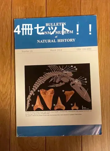 화석 논문 4권 세트 군마현립자연사박물관 연구보고