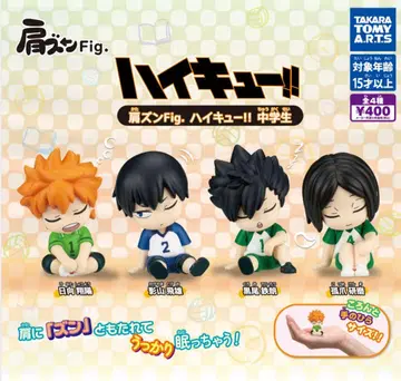 어깨 쿵 하이큐!! 중학생 컴프 세트